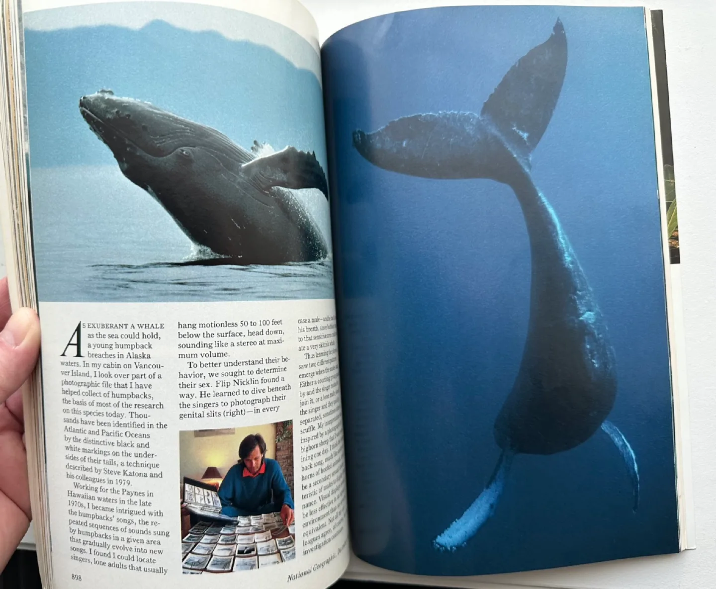 National Geographic Magazine - December 1988 - Endangered Earth image indicator(3)