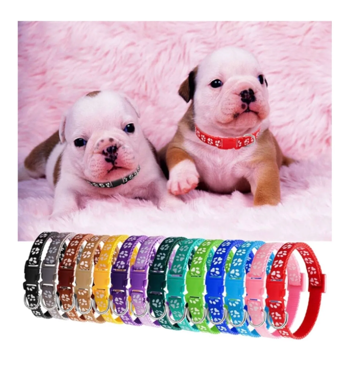 12 Pack Puppy Collars - Adjustable Pet Collars image indicator(2)