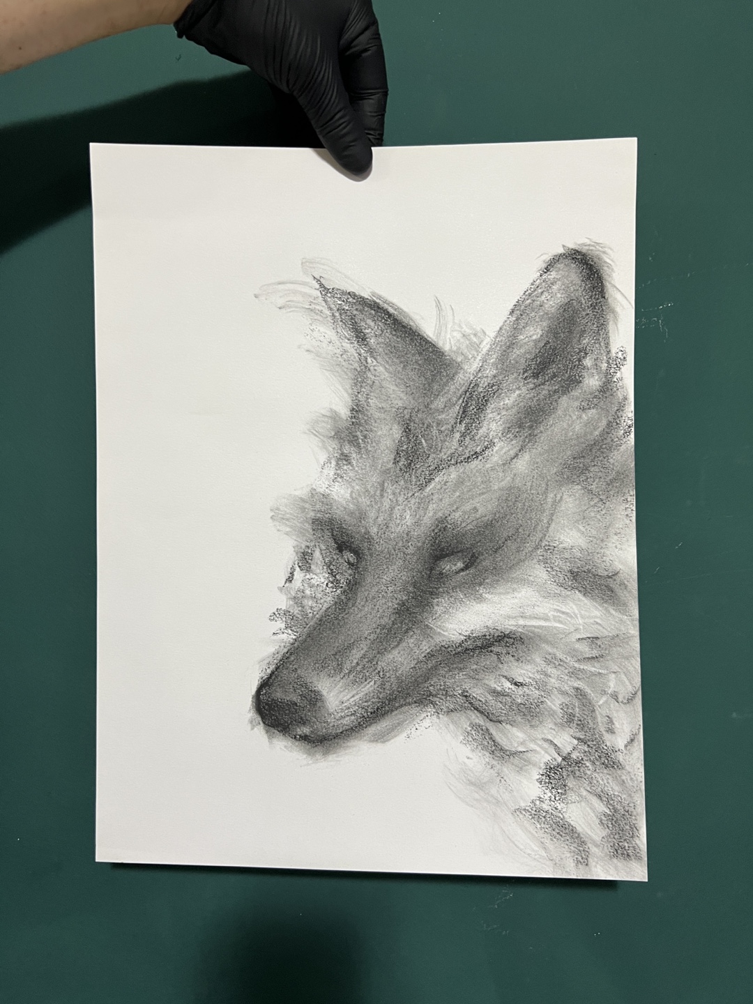 Original Charcoal Fox Drawing - photo 3