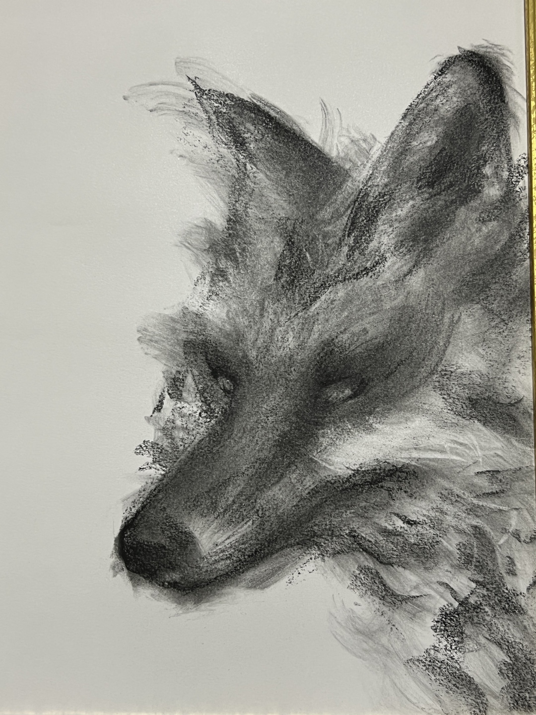 Original Charcoal Fox Drawing - photo 2