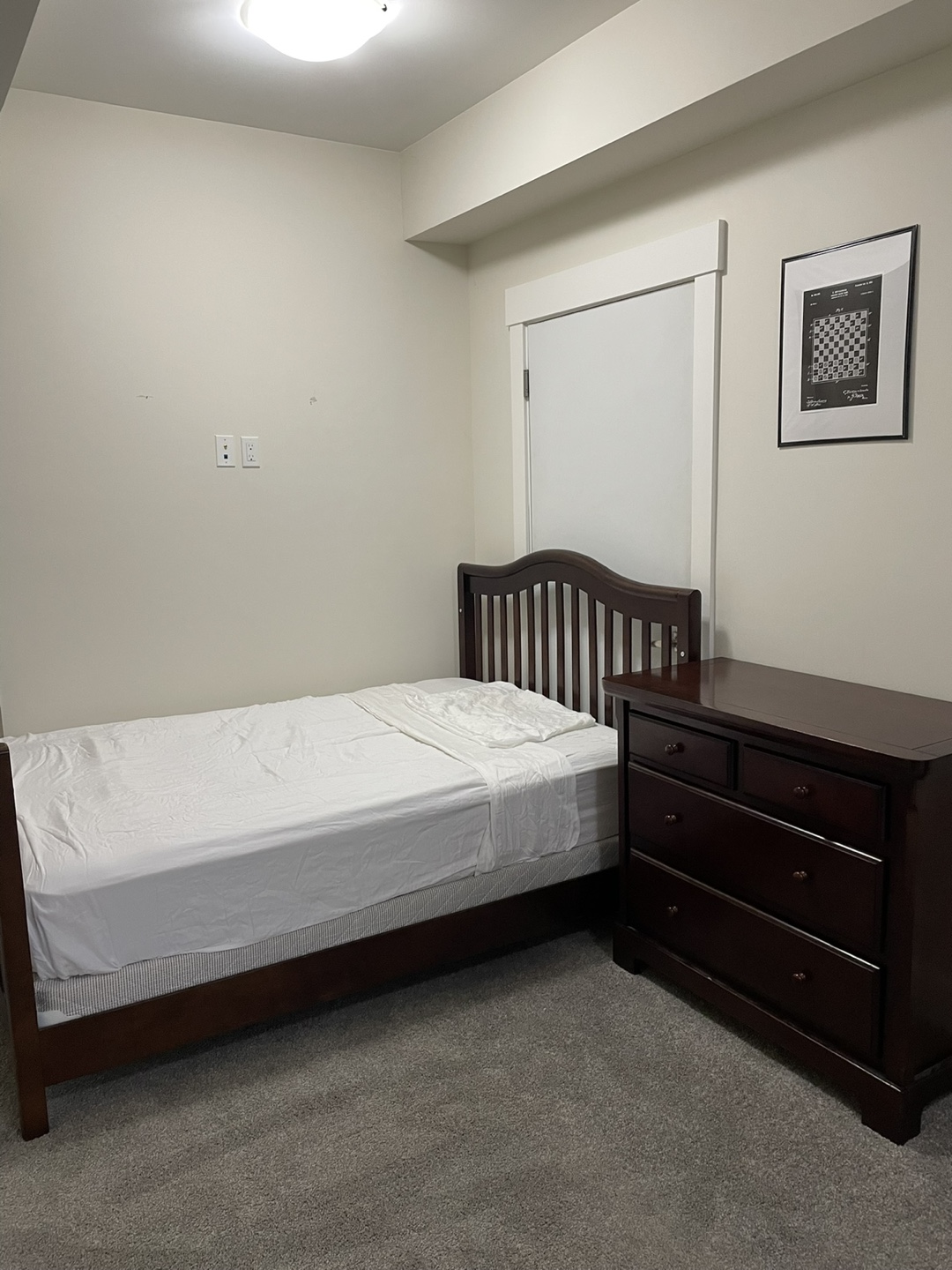 Bachelor Suite - Fully Furnished - photo 3
