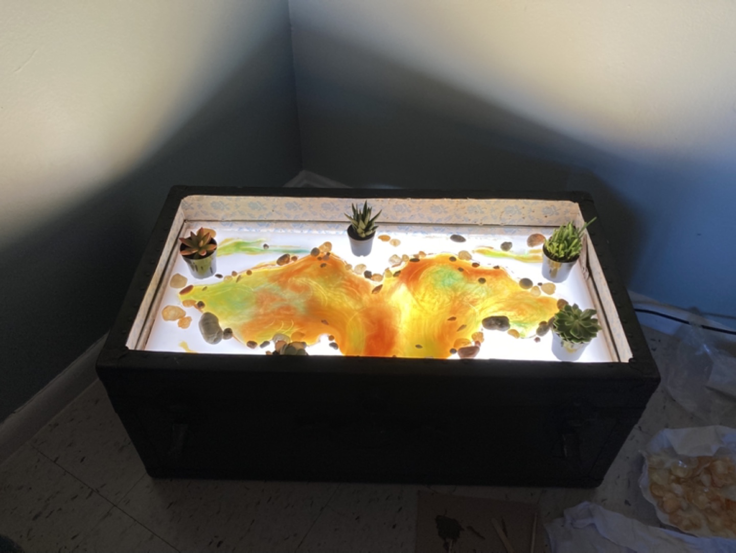 Trunk with Epoxy Resin River design