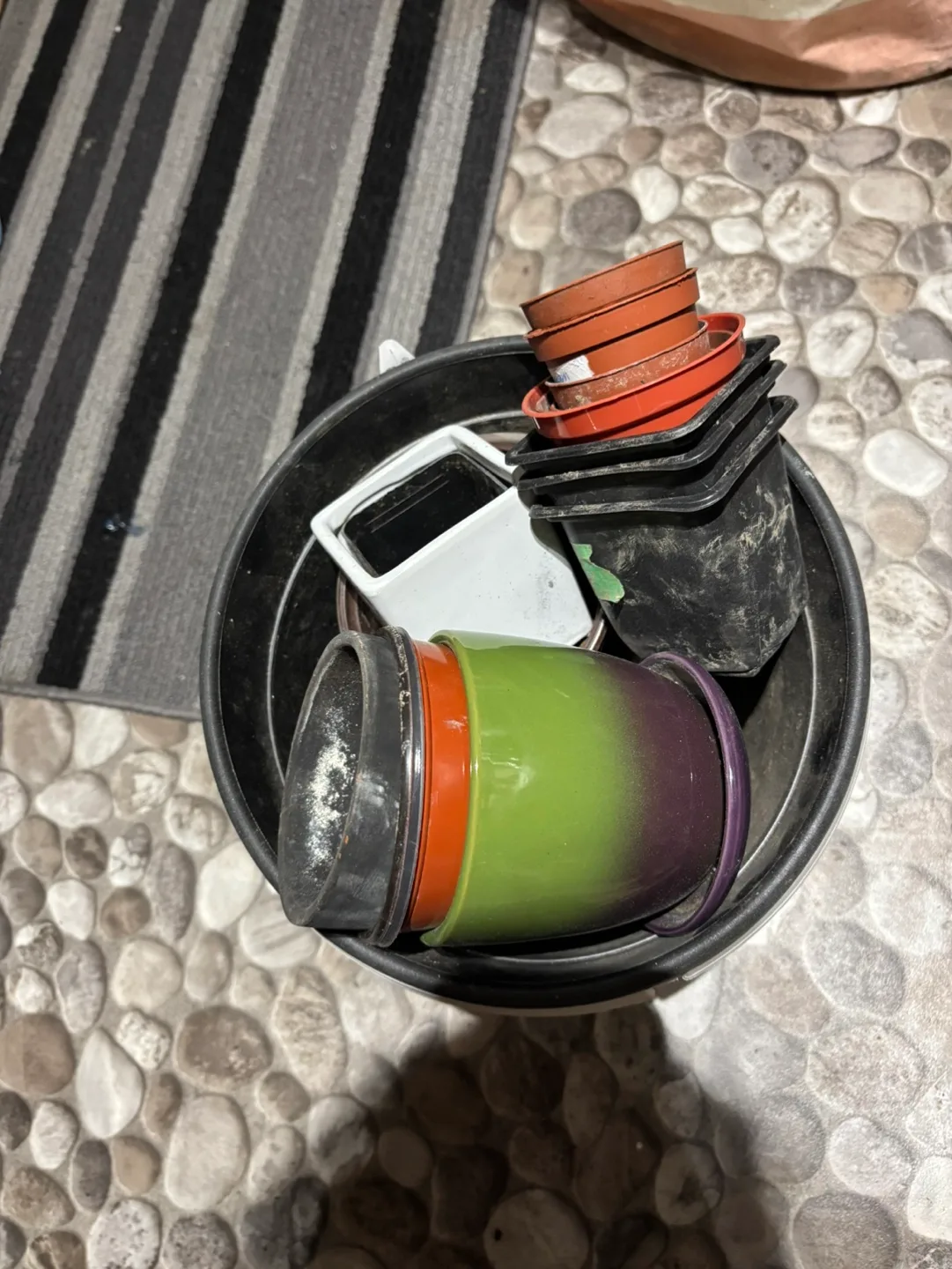 Assorted Plant Pots🧡 thumbnail