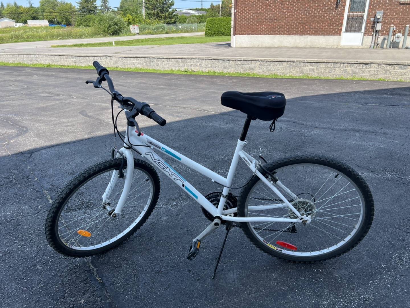 Next Mountain Bike