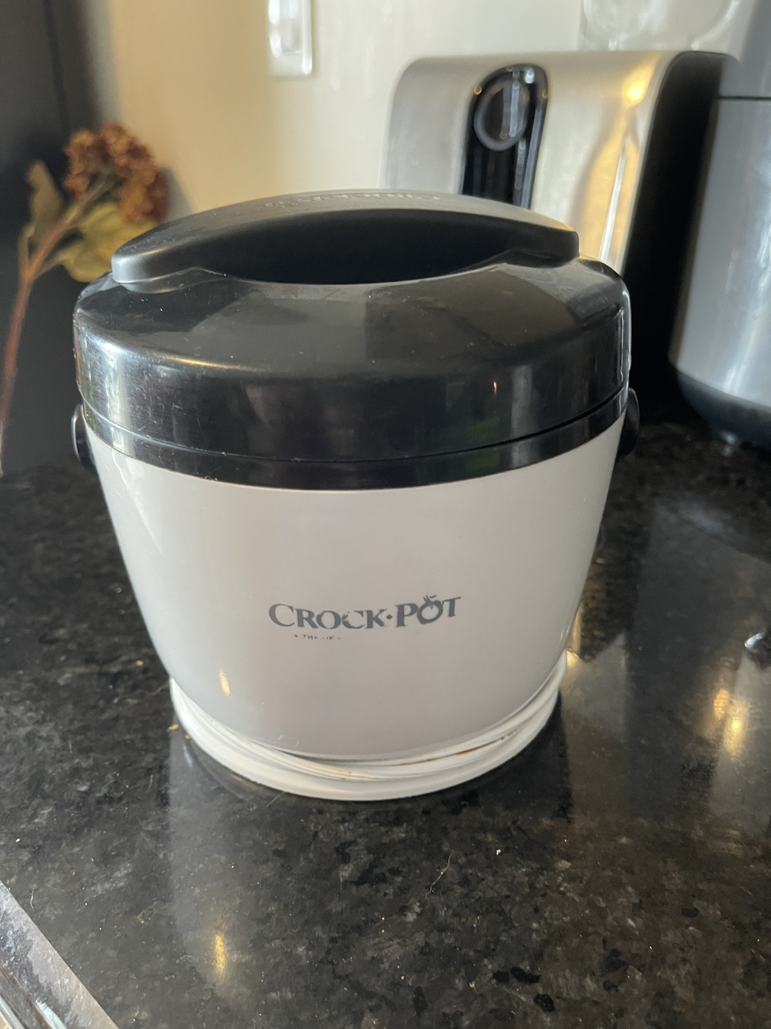 Lunch box Crock-Pot Food Warmer