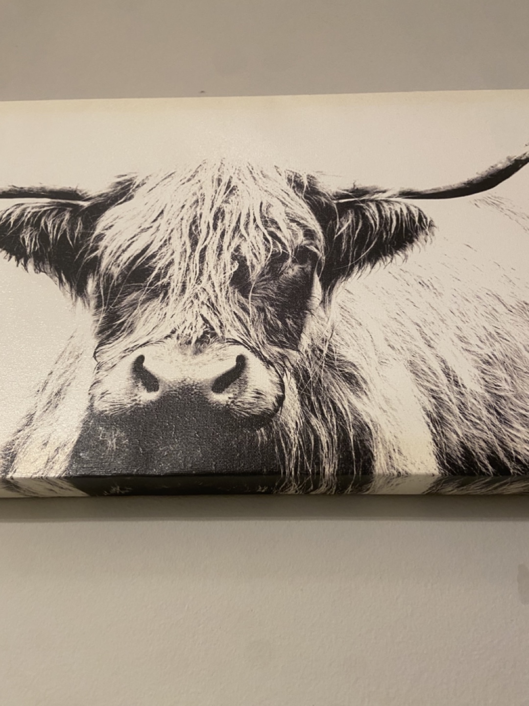 Highland Cow Canvas Wall Art - photo 2