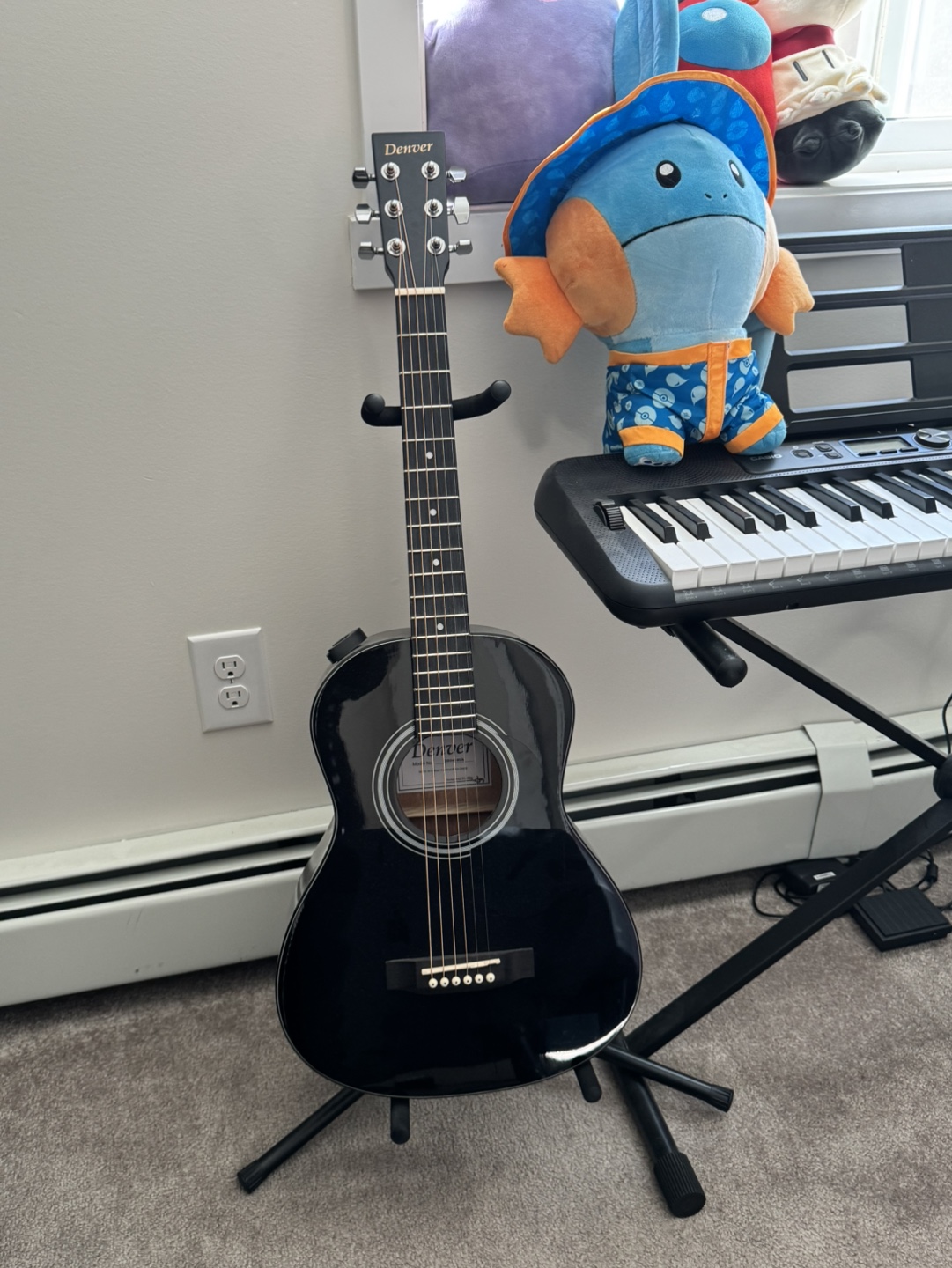 Acoustic Guitar