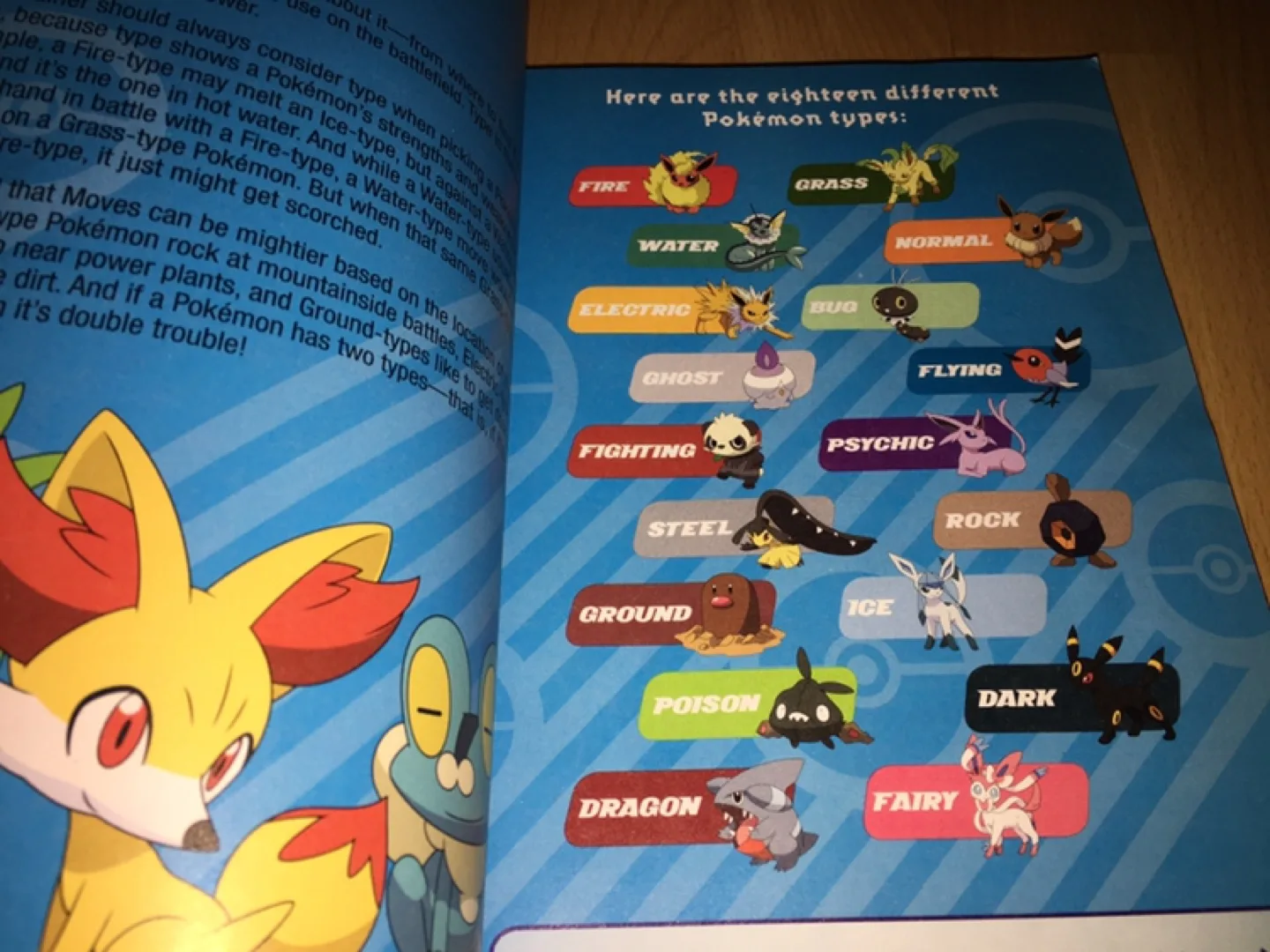 Pokémon Deluxe Essential Handbook image indicator(2)