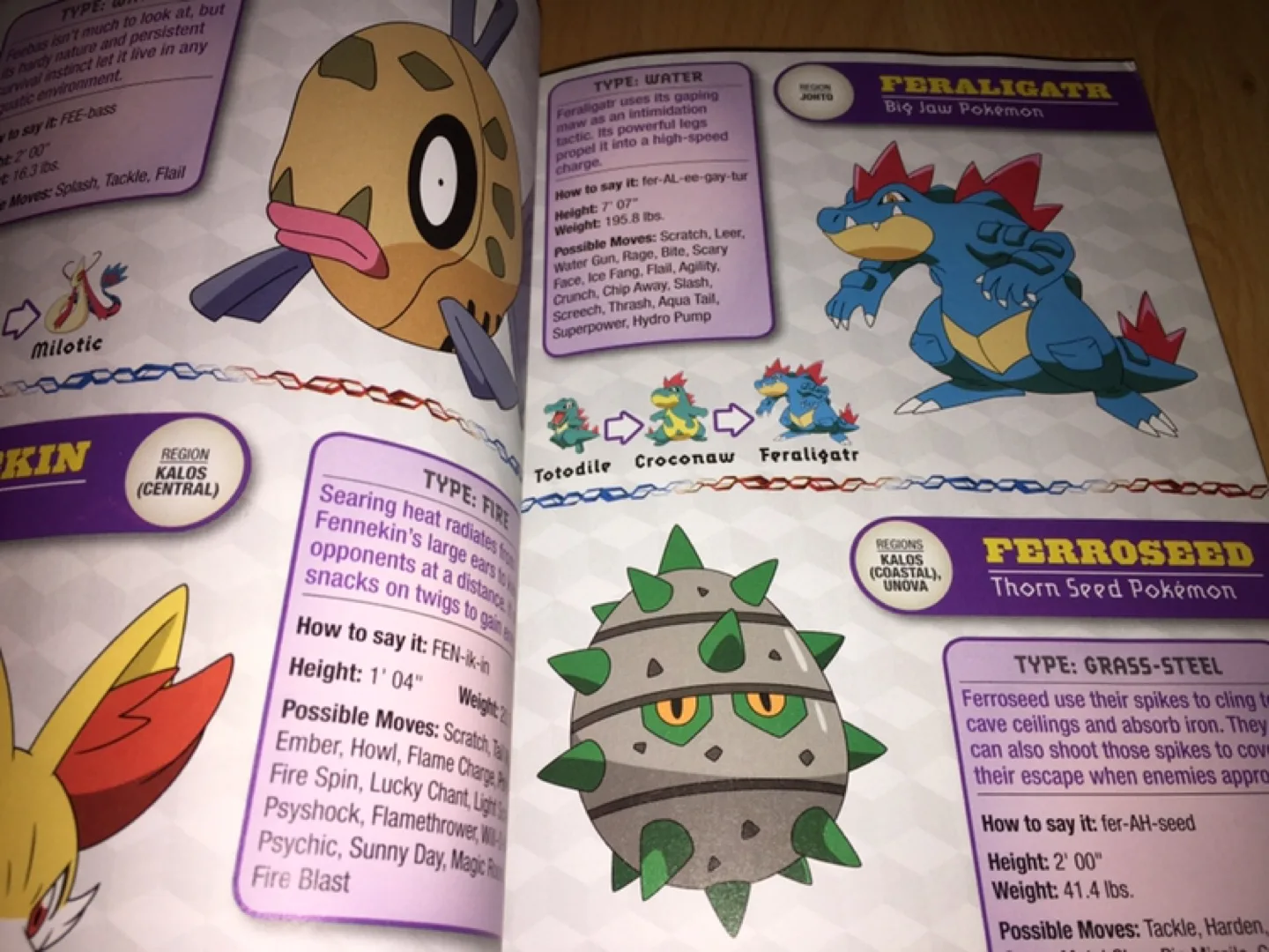 Pokémon Deluxe Essential Handbook image indicator(3)