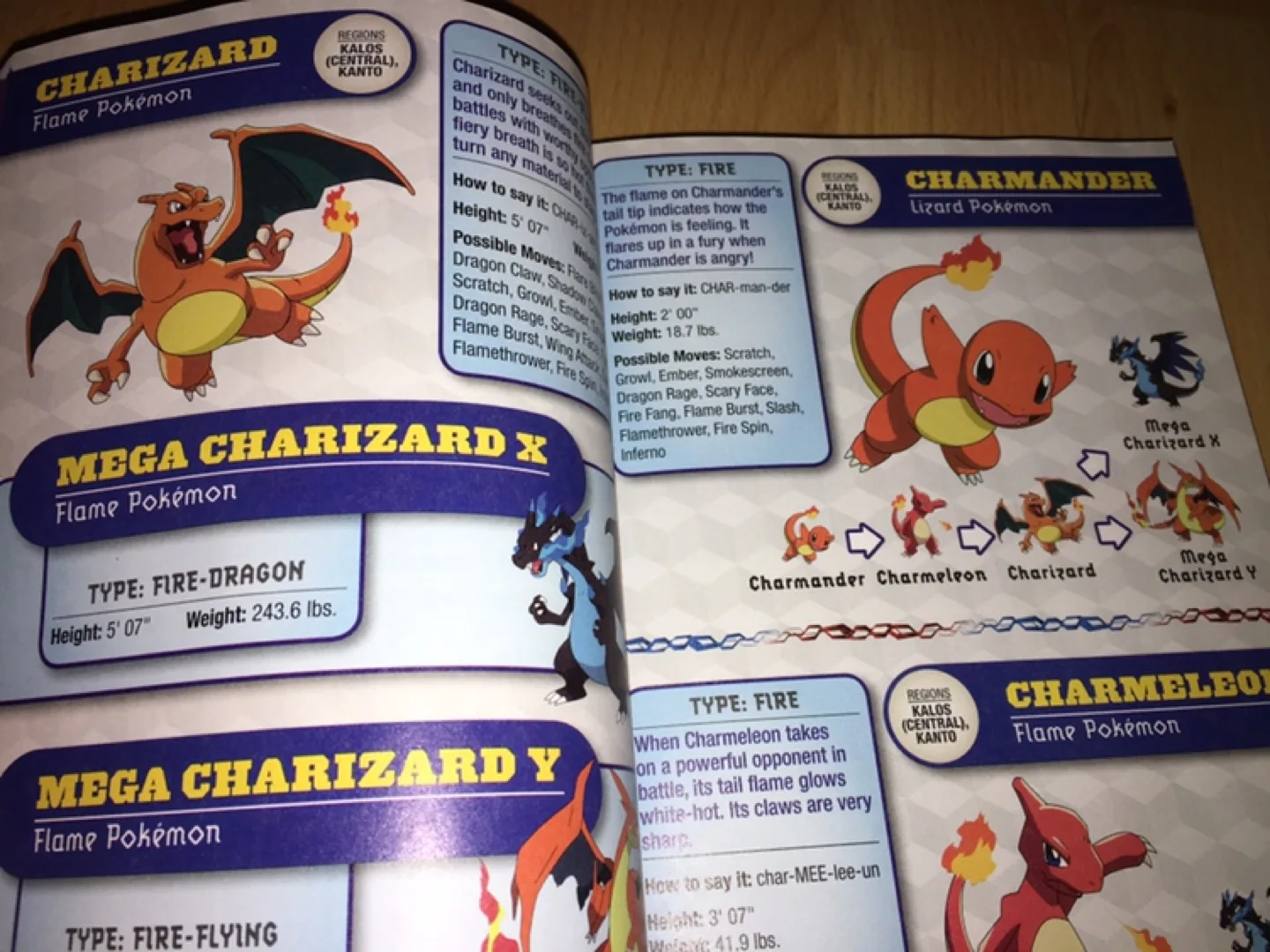 Pokémon Deluxe Essential Handbook image indicator(4)