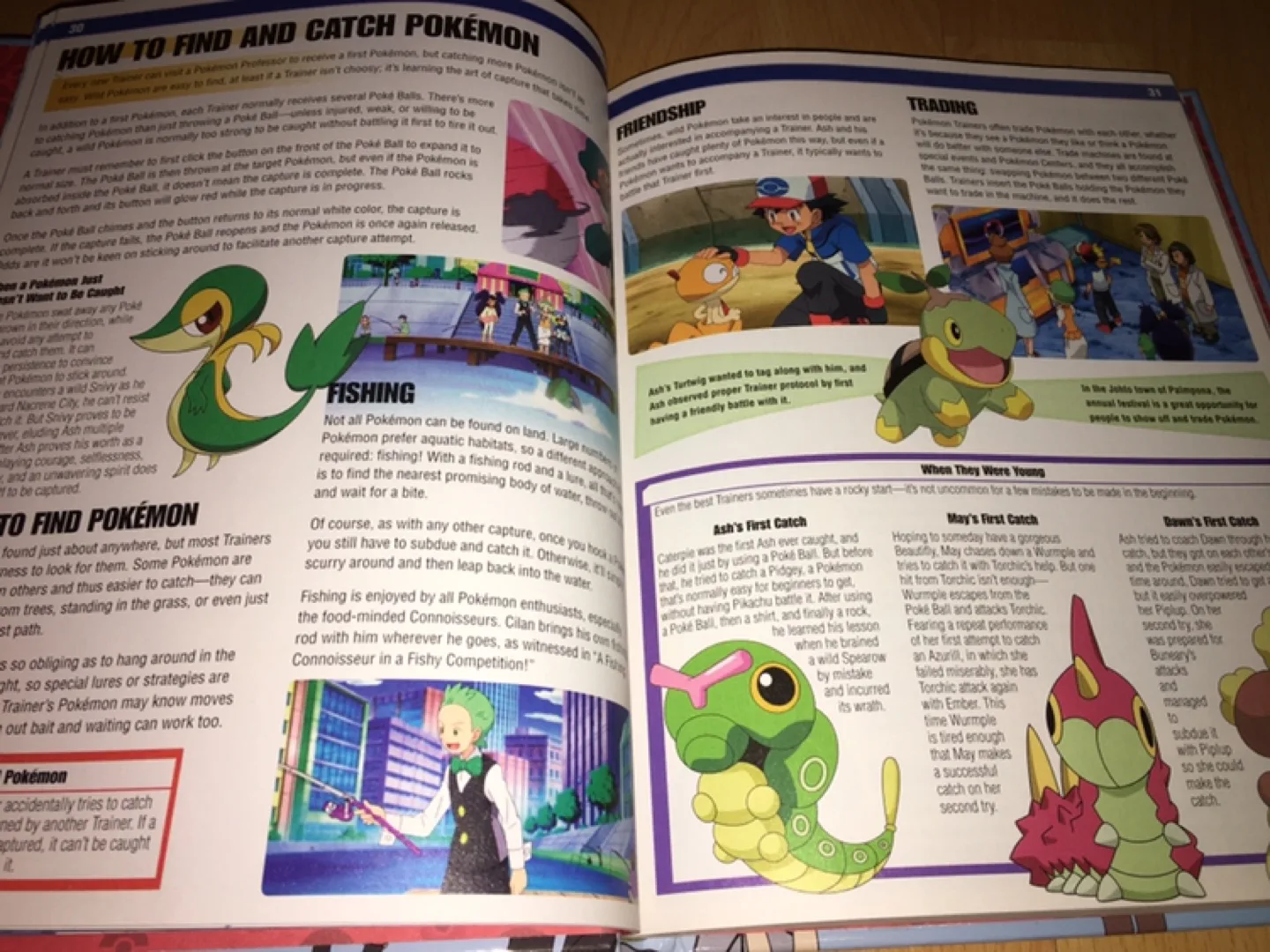 Hardcover Pokemon Visual Companion Book image indicator(4)