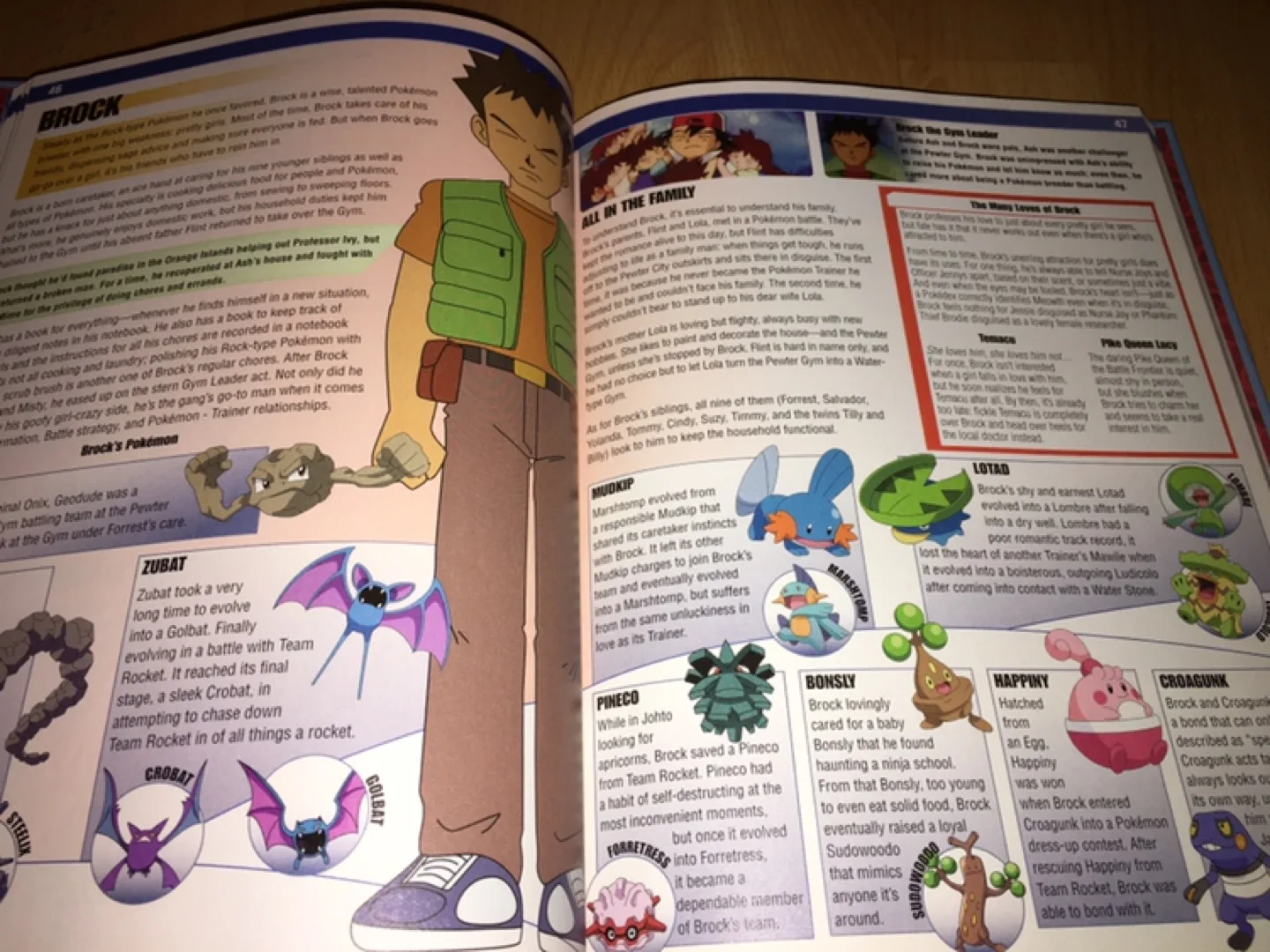 Hardcover Pokemon Visual Companion Book image indicator(3)
