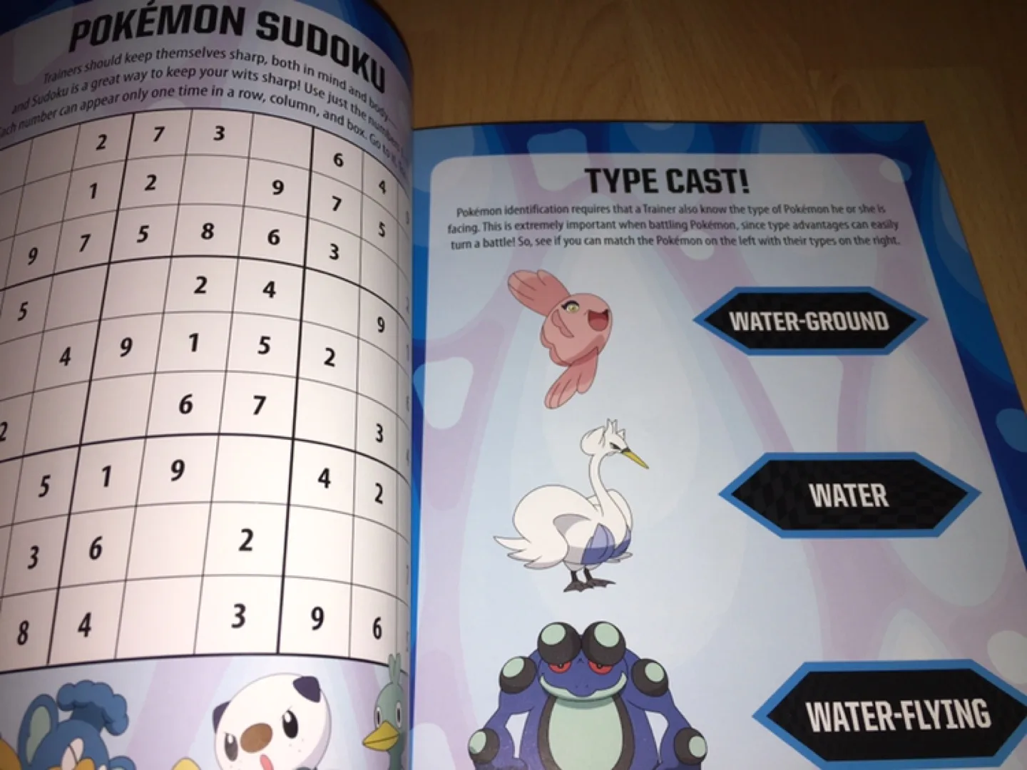 Pokémon Super Activity Book image indicator(2)