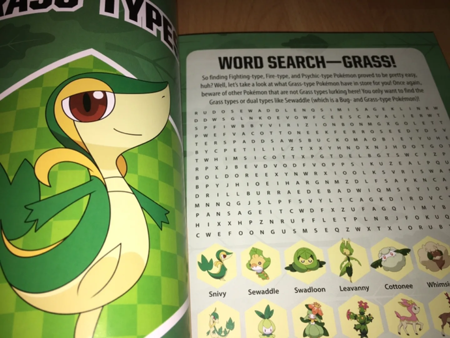 Pokémon Super Activity Book image indicator(3)