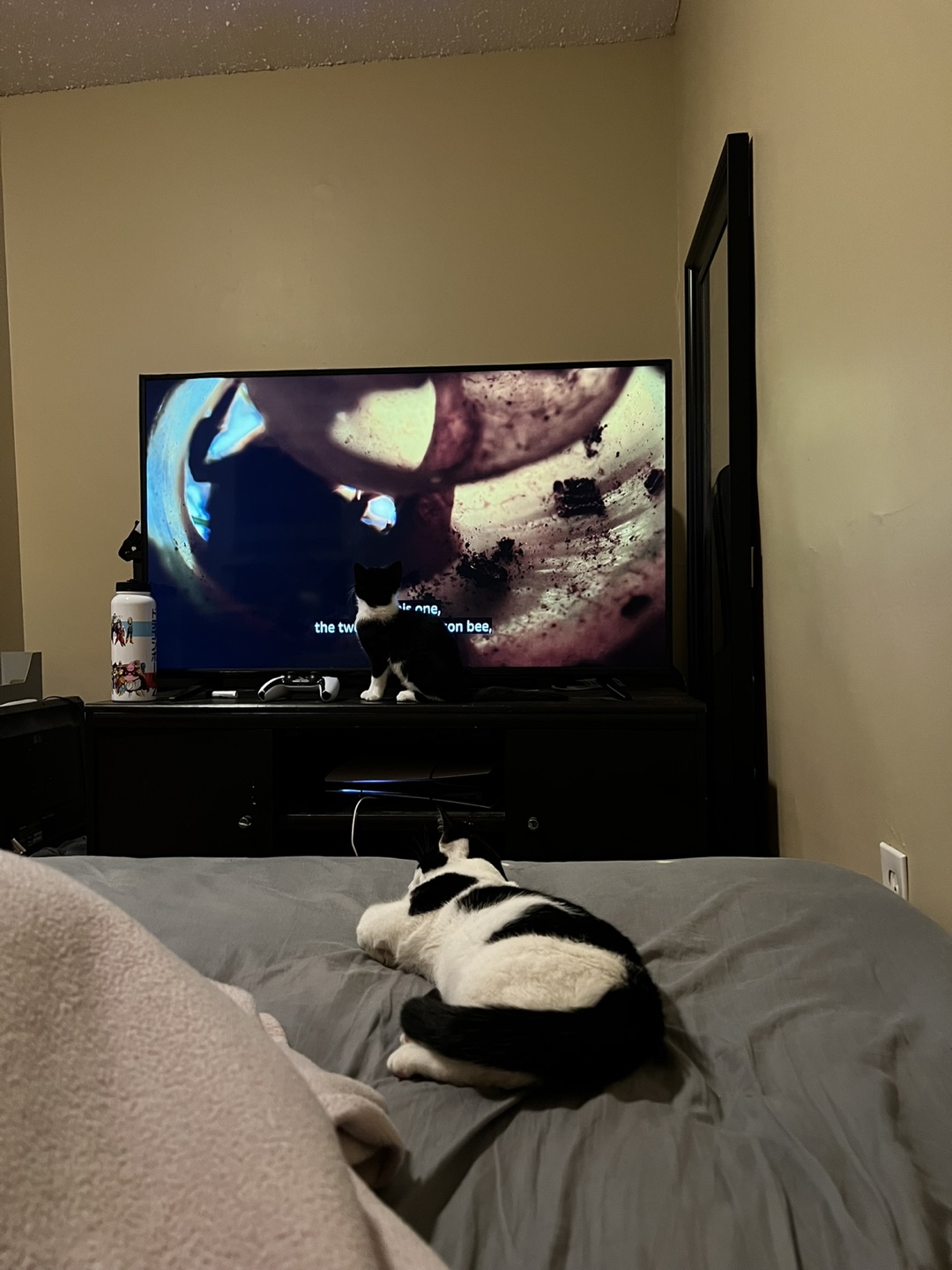 55 inch Proscan tv - photo 2
