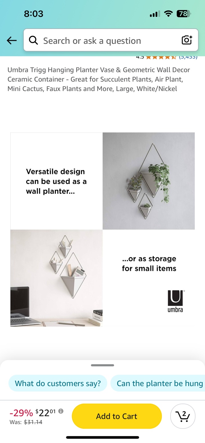 Umbra Trigg Hanging Planter Set - 2 small 1 large - photo 2