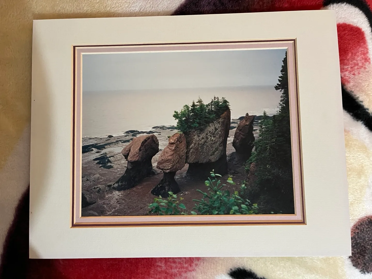 Framed Hopewell Rocks Photograph image indicator(2)