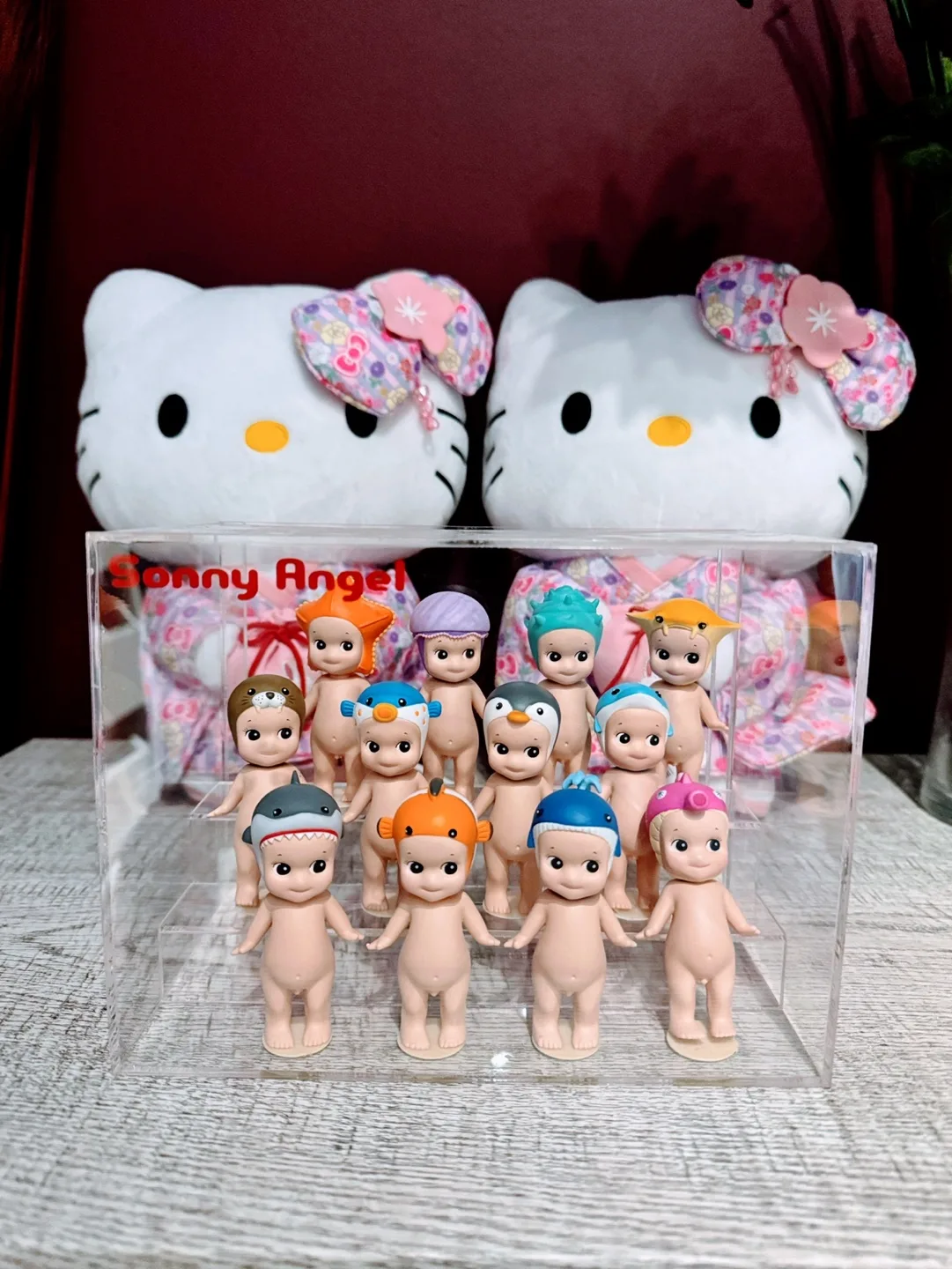 Sonny Angel Marine Series in Official Display Box image indicator(2)