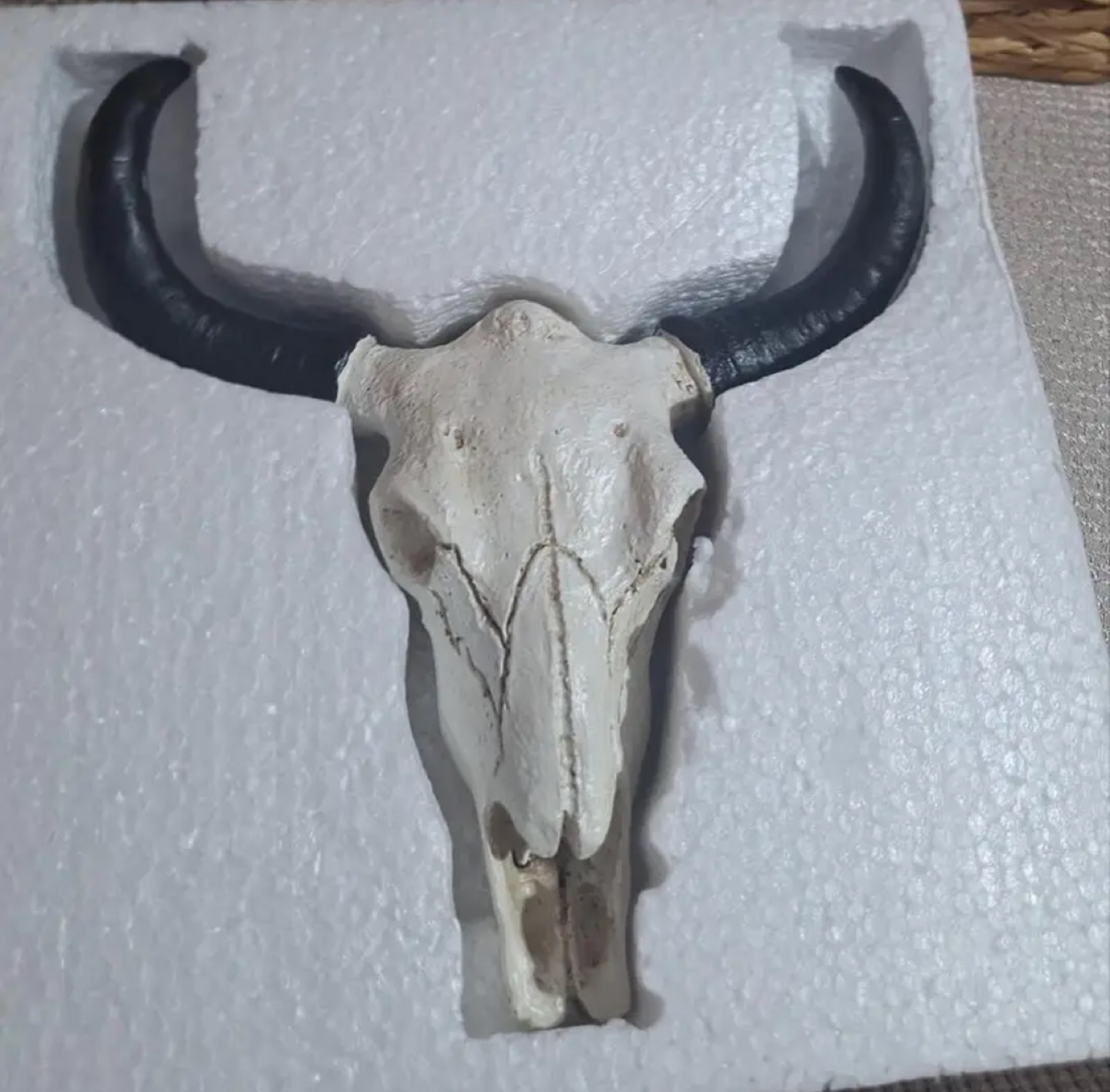 Cow skull wall decor