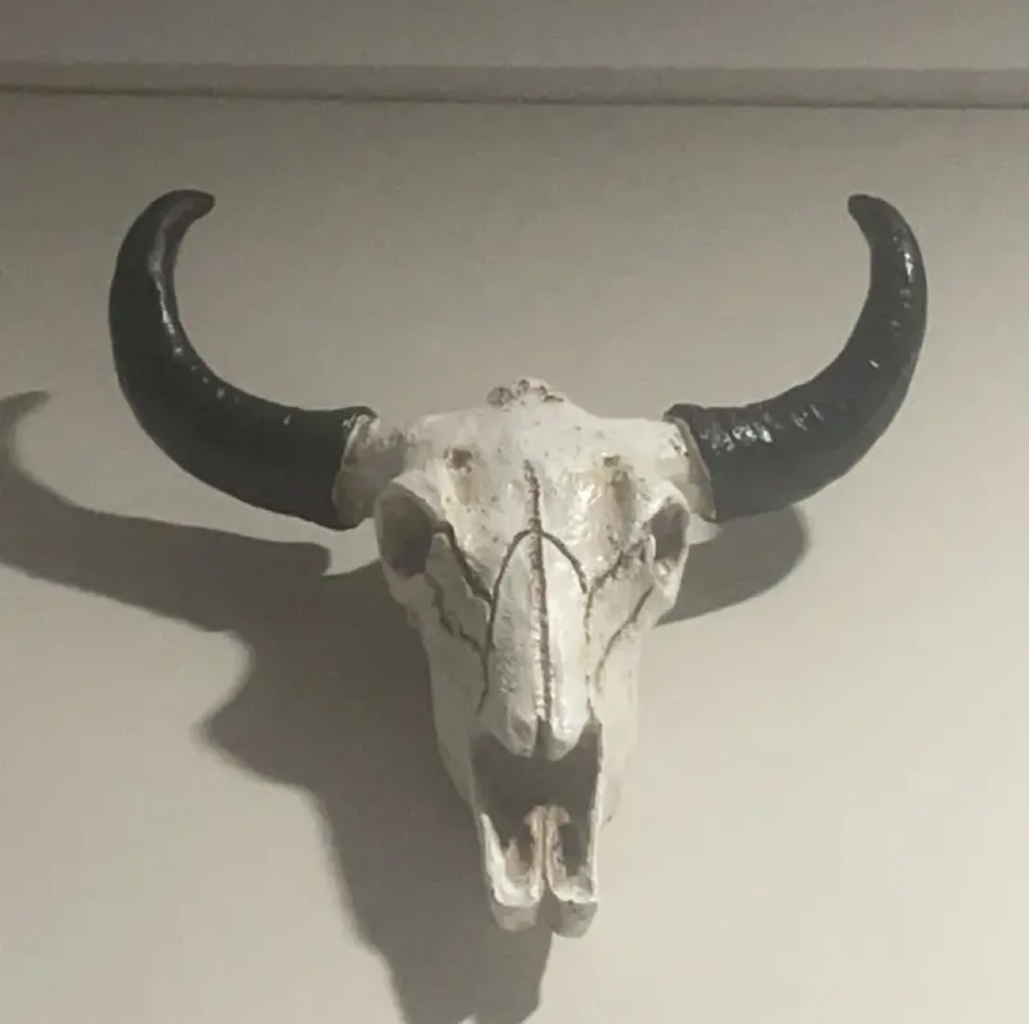 Cow skull wall decor - photo 2