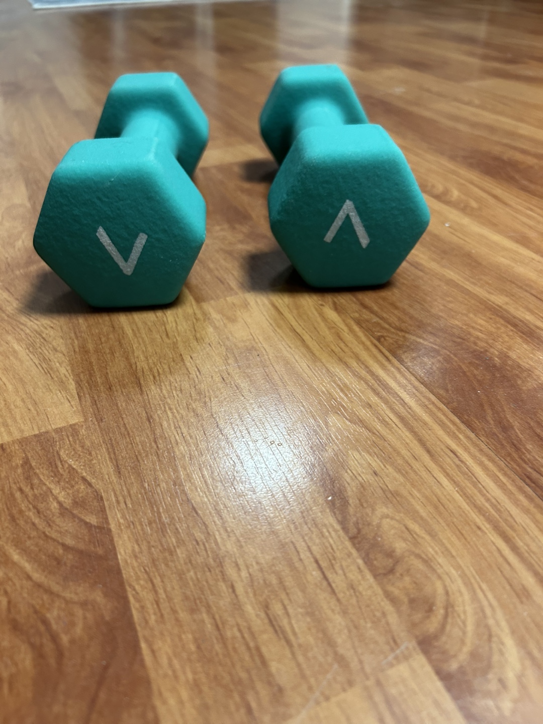 7 lb Teal Dumbbells (Moving Sale).(VERY SOFT)