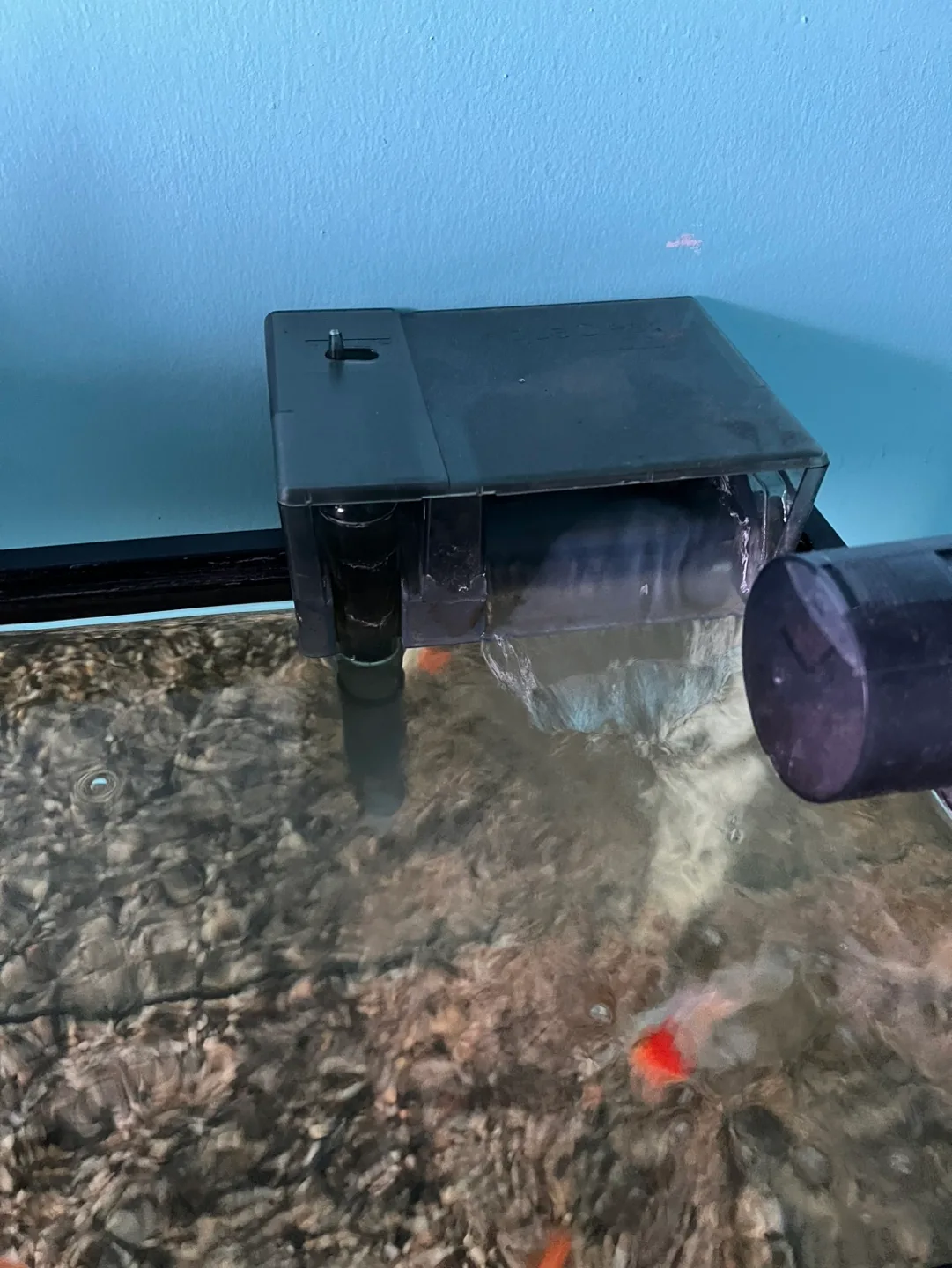 Aquaclear Aquarium Filter image indicator(3)