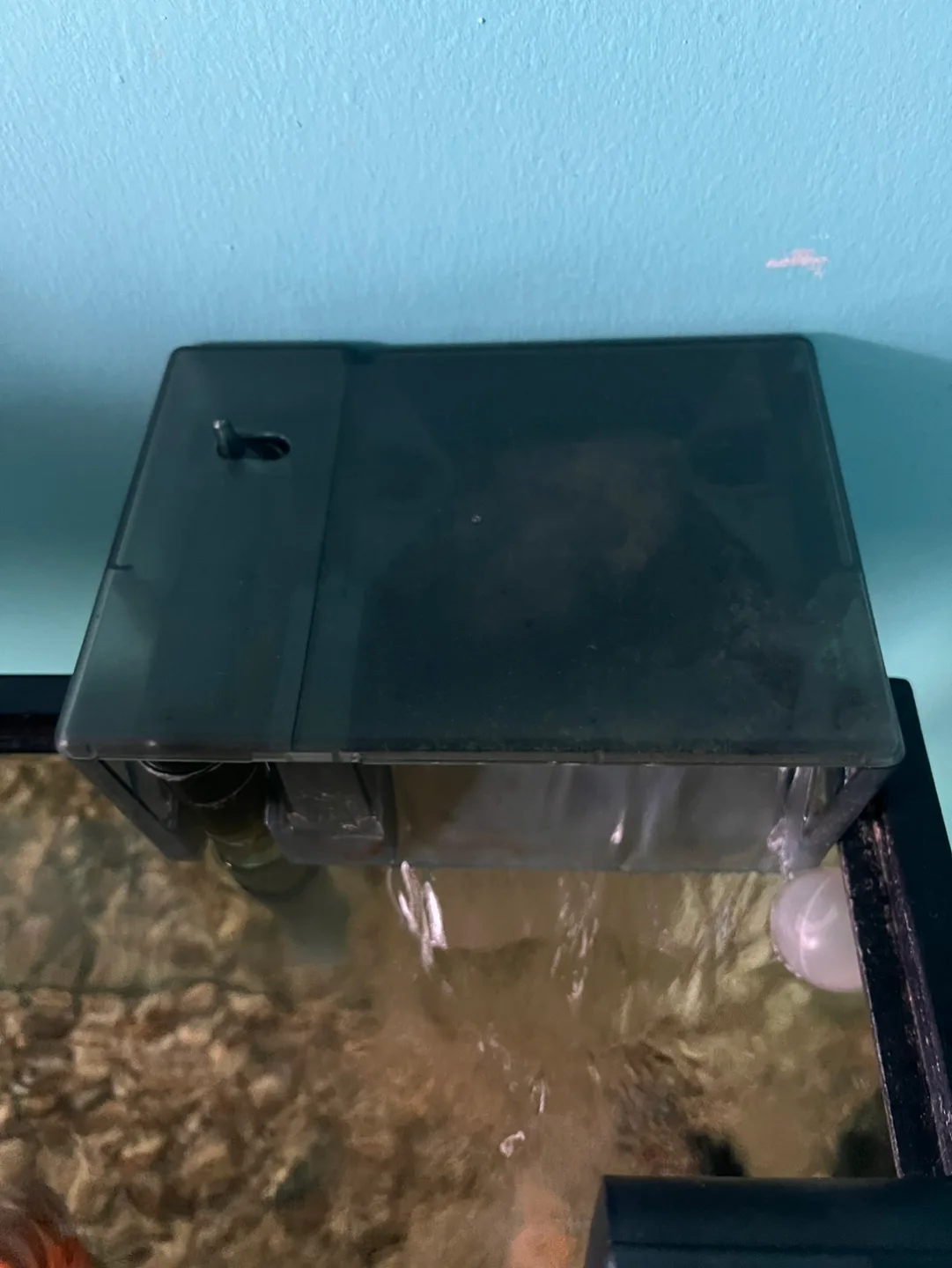 Aquaclear Aquarium Filter image indicator(2)