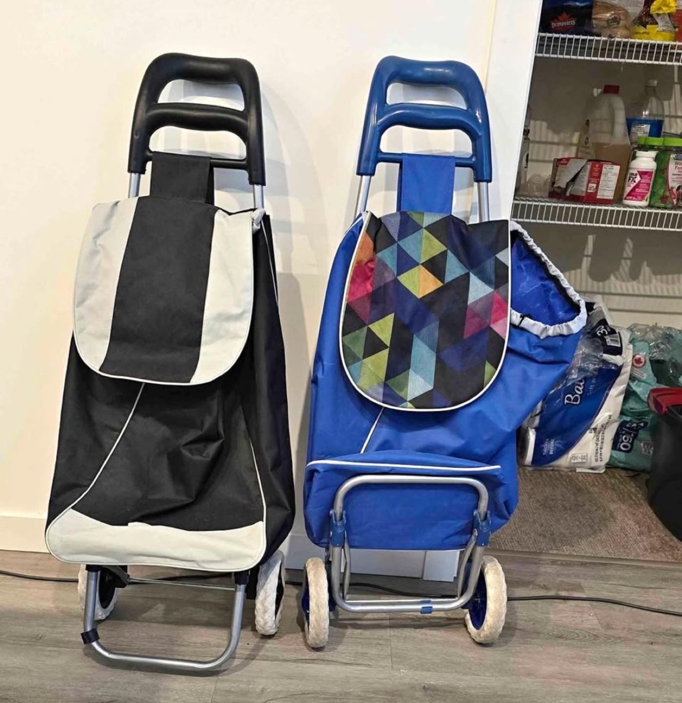 Set of 2 Shopping Carts