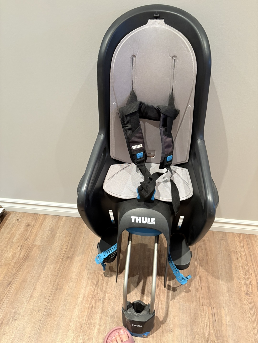 Thule RideAlong Tiltable Child Bike Seat - Light Gray