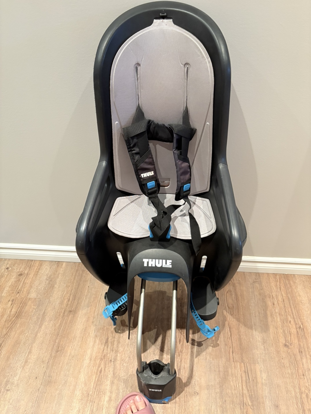 Thule RideAlong Tiltable Child Bike Seat - Light Gray - photo 2