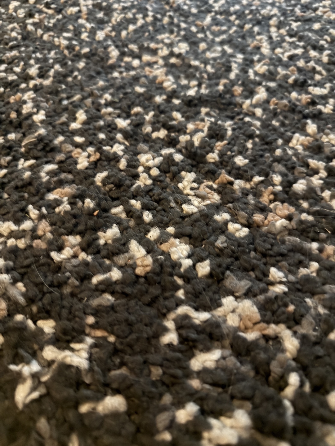 Area Rug - photo 4
