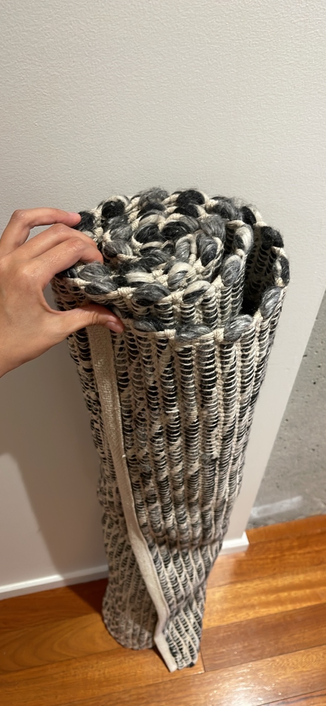 4x6 like new area rug