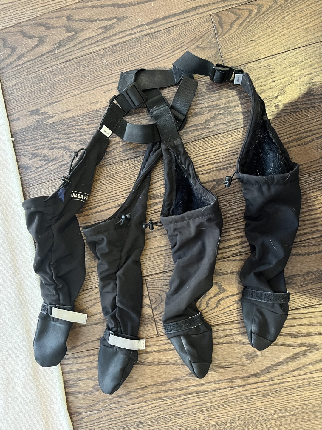 Canada Pooch Suspender Boots (size 3, black) - photo 2