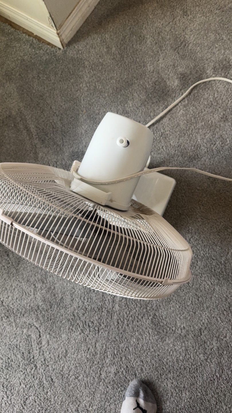 Windmere 16" Oscillating Fan