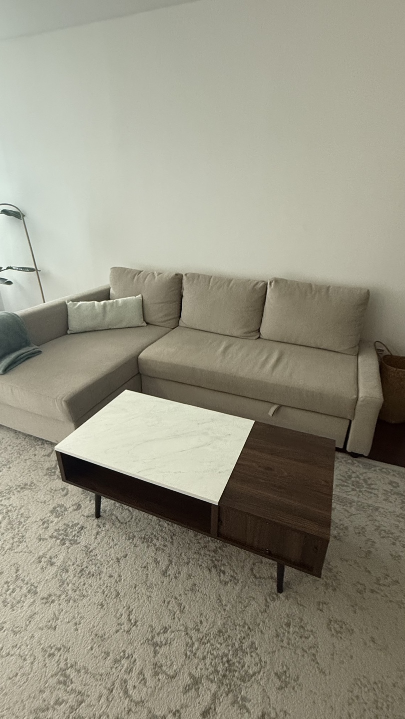 Beige Sectional Sofa Sleeper with storage