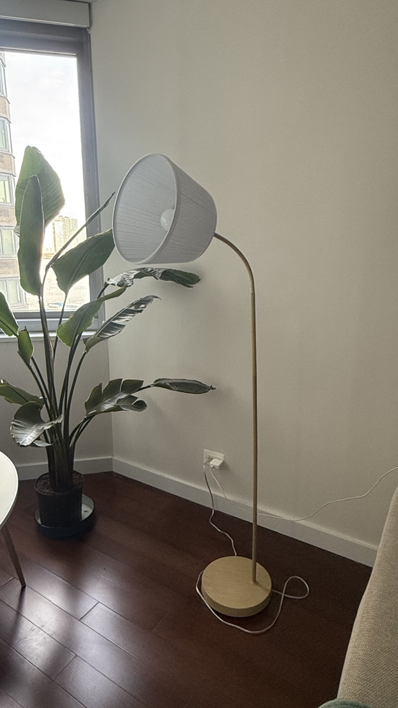 Arc Floor Lamp with White Shade