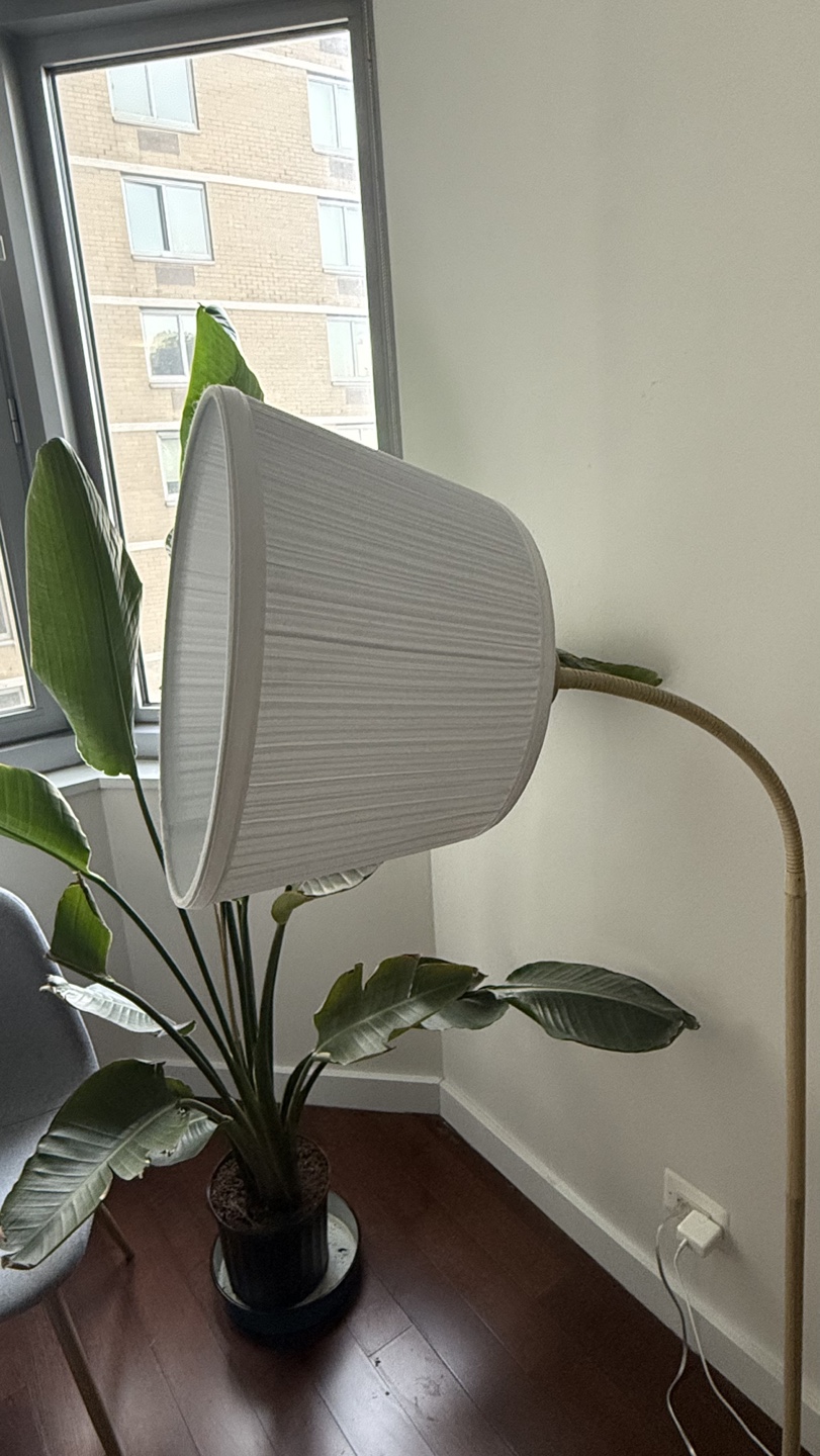Arc Floor Lamp with White Shade - photo 2