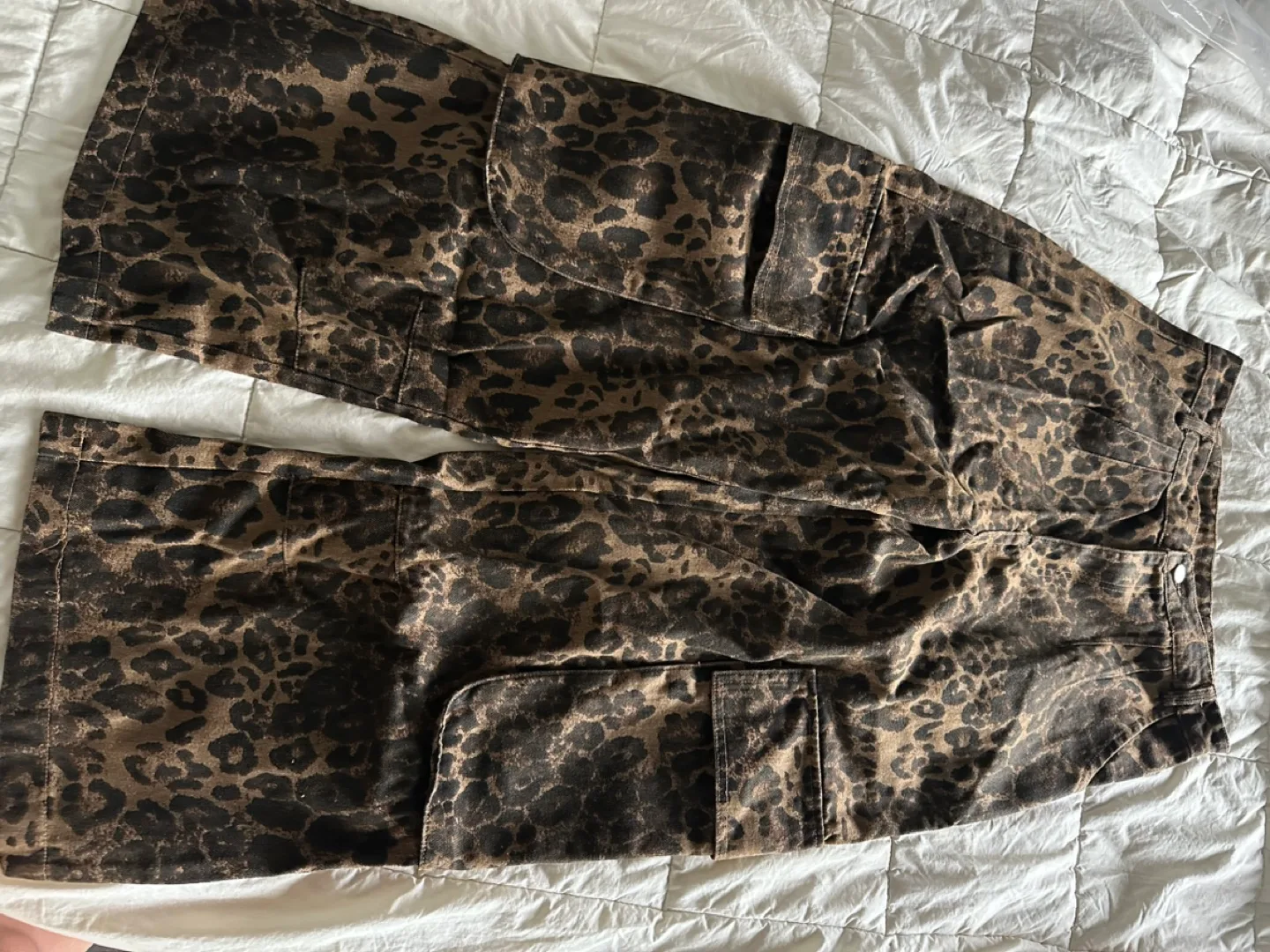 Brown Leopard Print Cargo Pants image indicator(3)