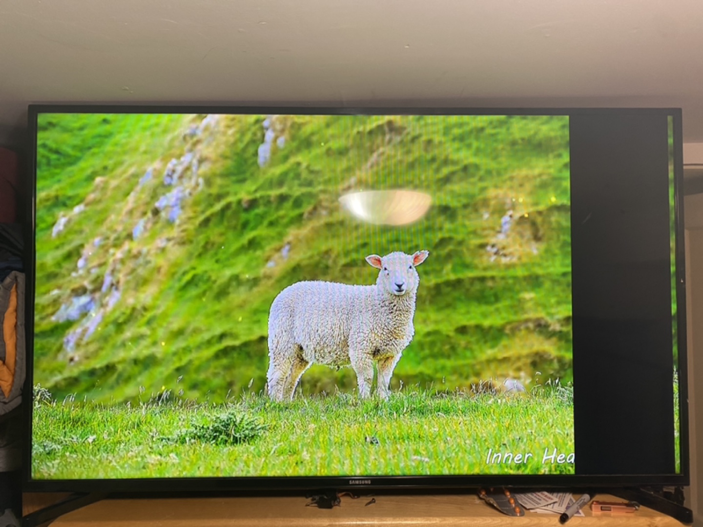 Tv - photo 2