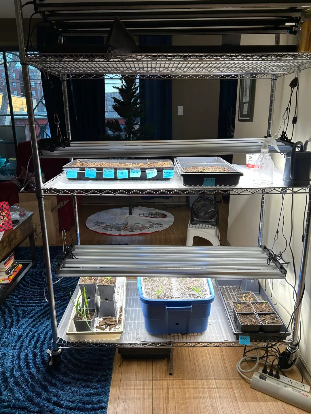 Indoor Grow Setup with LED Lights and Shelving image indicator(2)