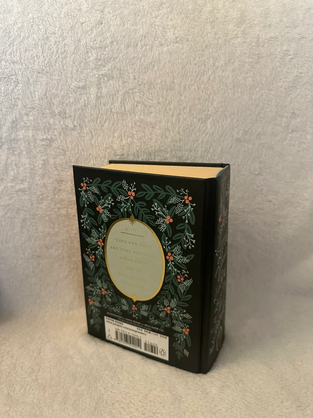 Little Women book Louisa May Alcott - Illustrated image indicator(3)