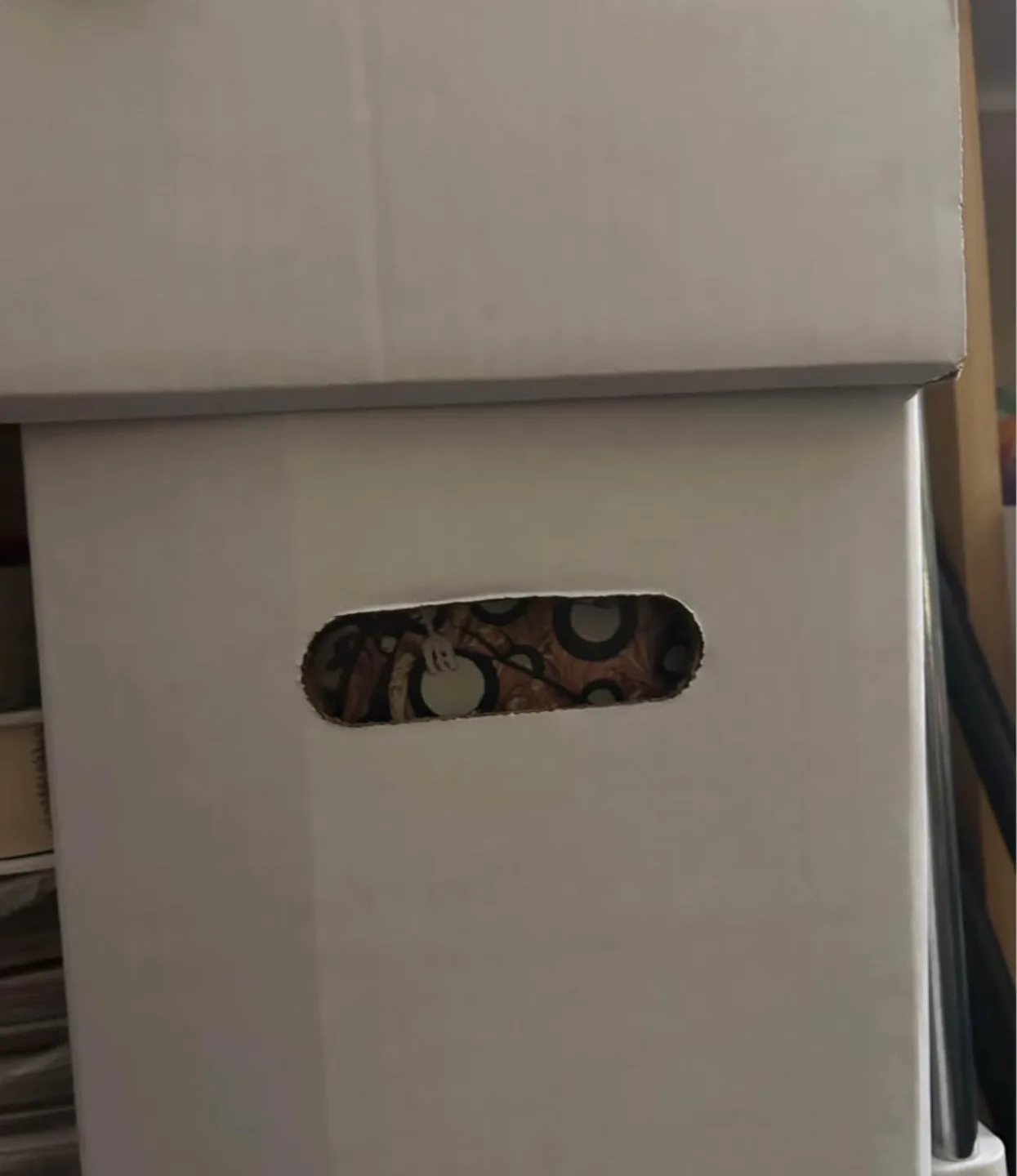 Comics - Come Look Through Them! image indicator(3)