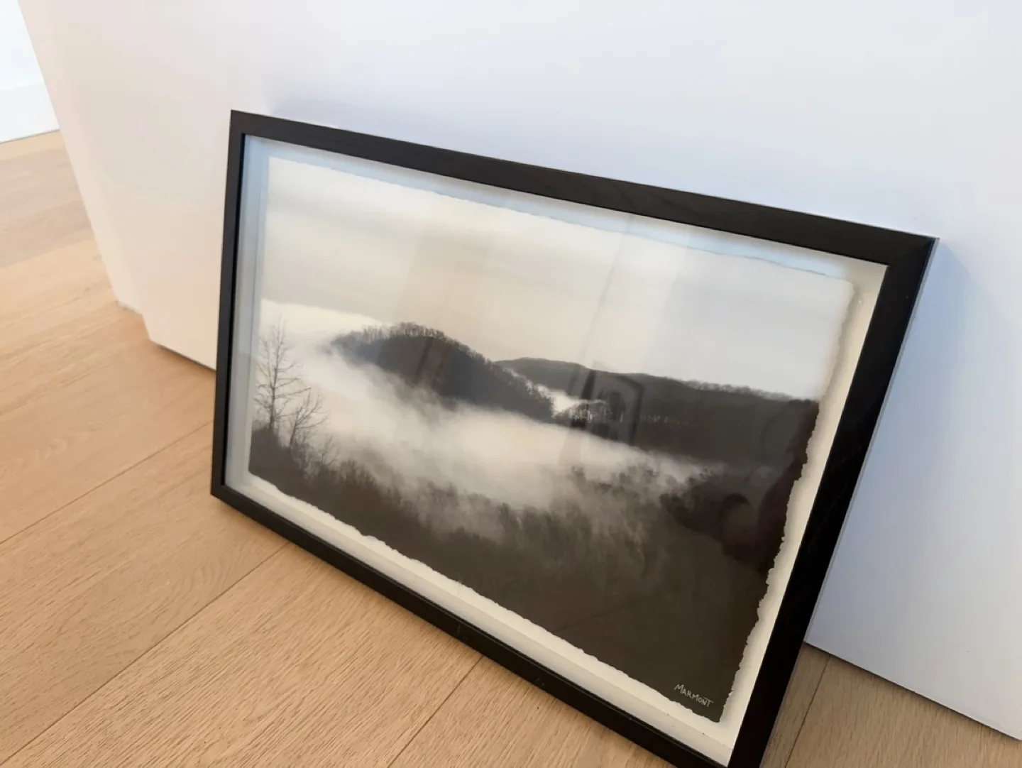Framed Black and White Landscape Print image indicator(2)