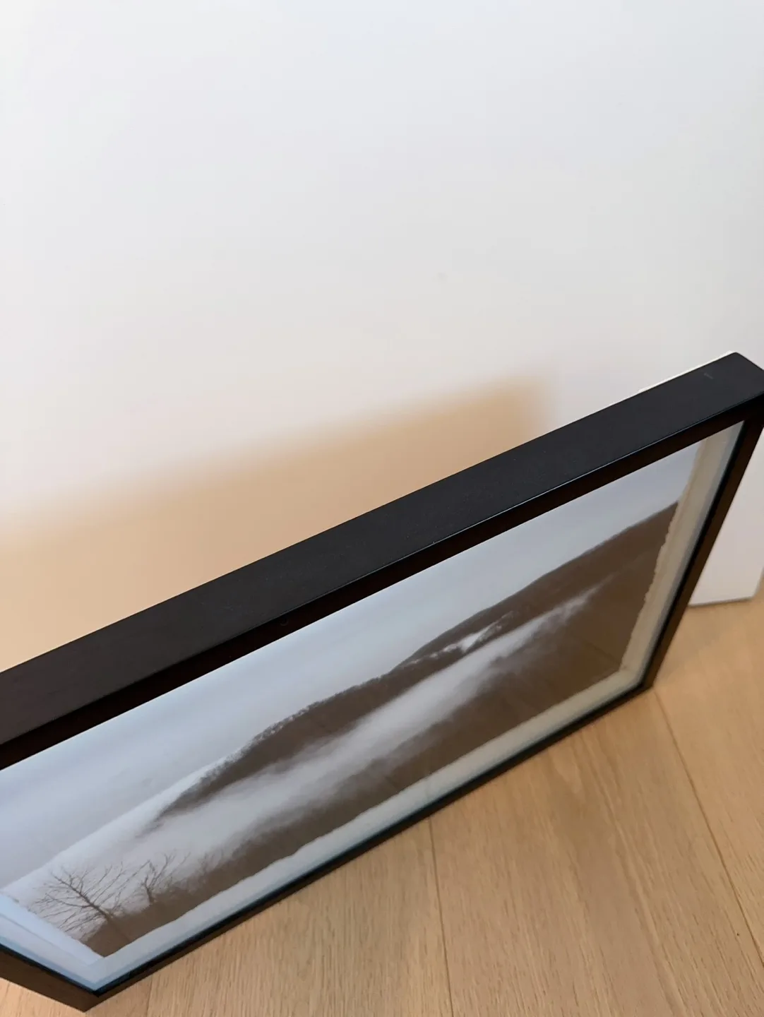 Framed Black and White Landscape Print image indicator(4)