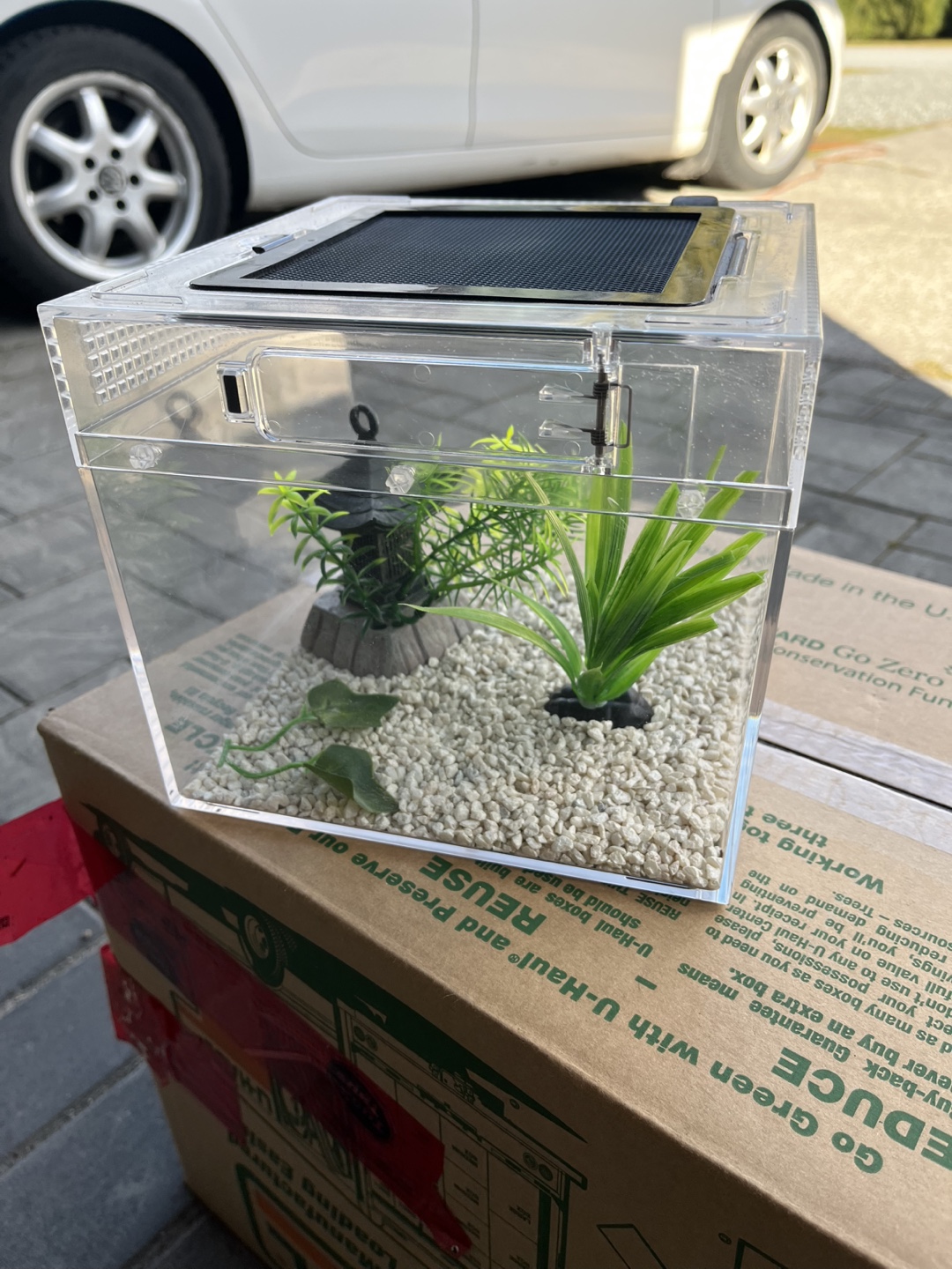Small aquarium 🧡