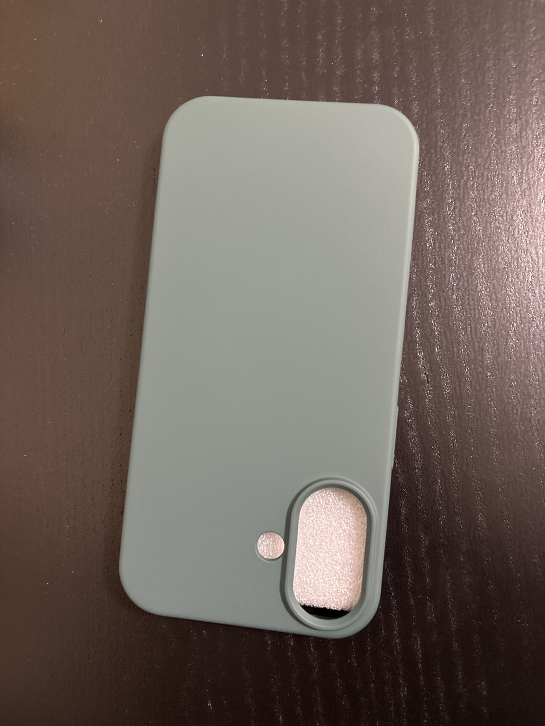 iPhone 16 Case - Soft Green Silicone