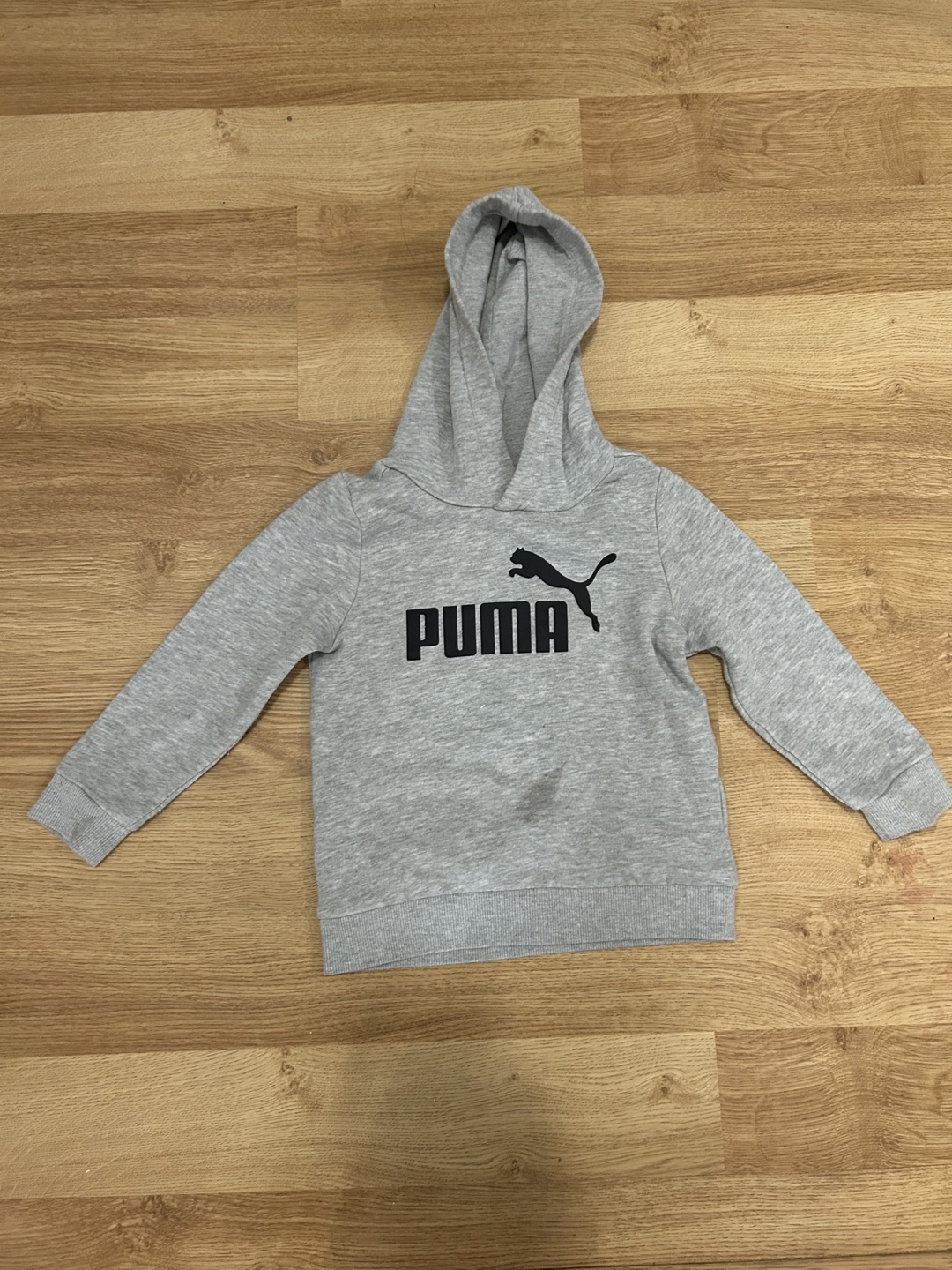 Puma Toddler Boys' Grey Hoodie