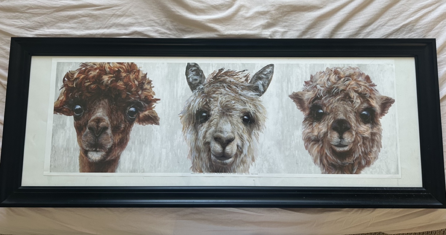 Black picture frame🧡