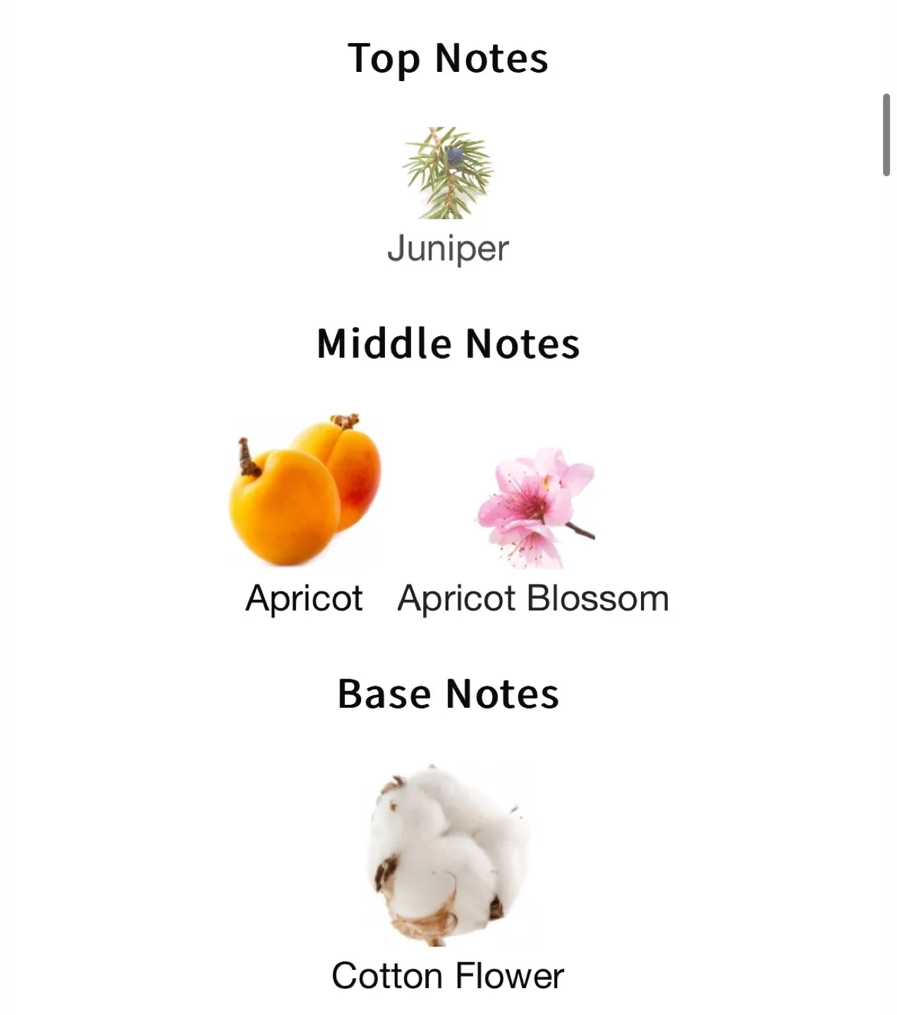 Victoria’s Secret Love Eau de Parfum - 30ml image indicator(3)