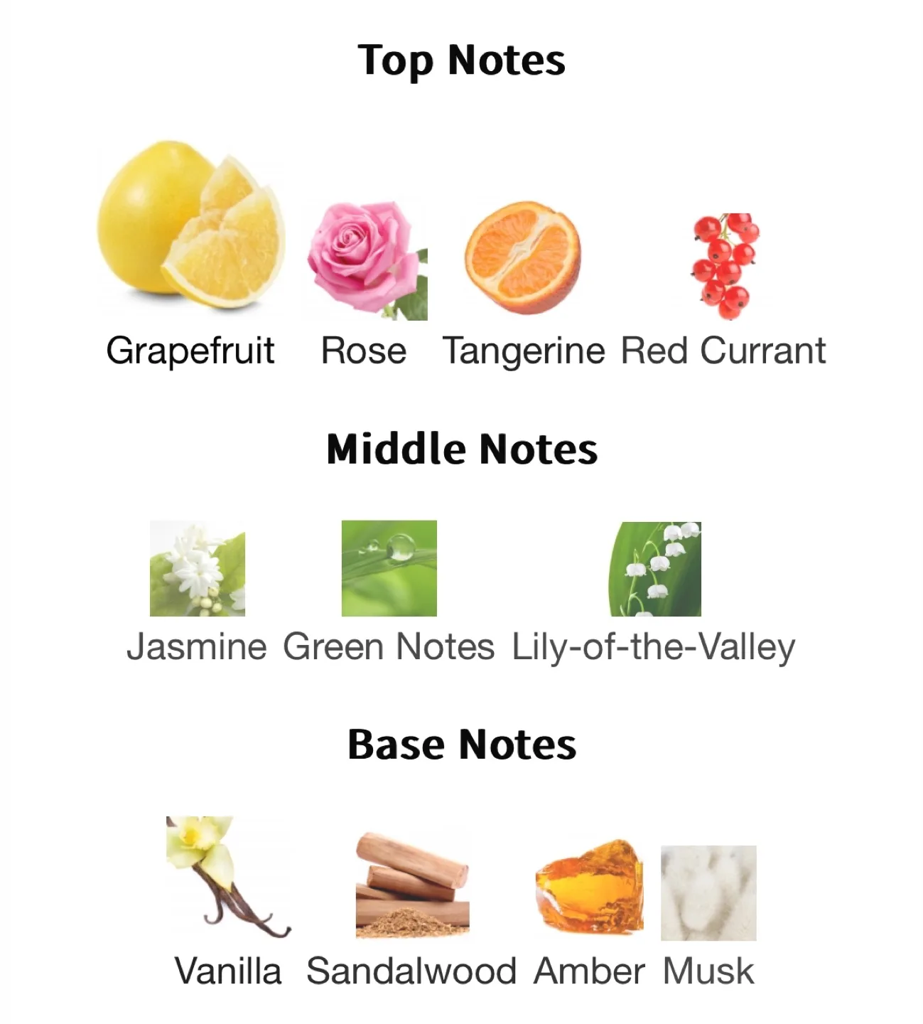 Zara Fruity EDT - 100ml image indicator(3)